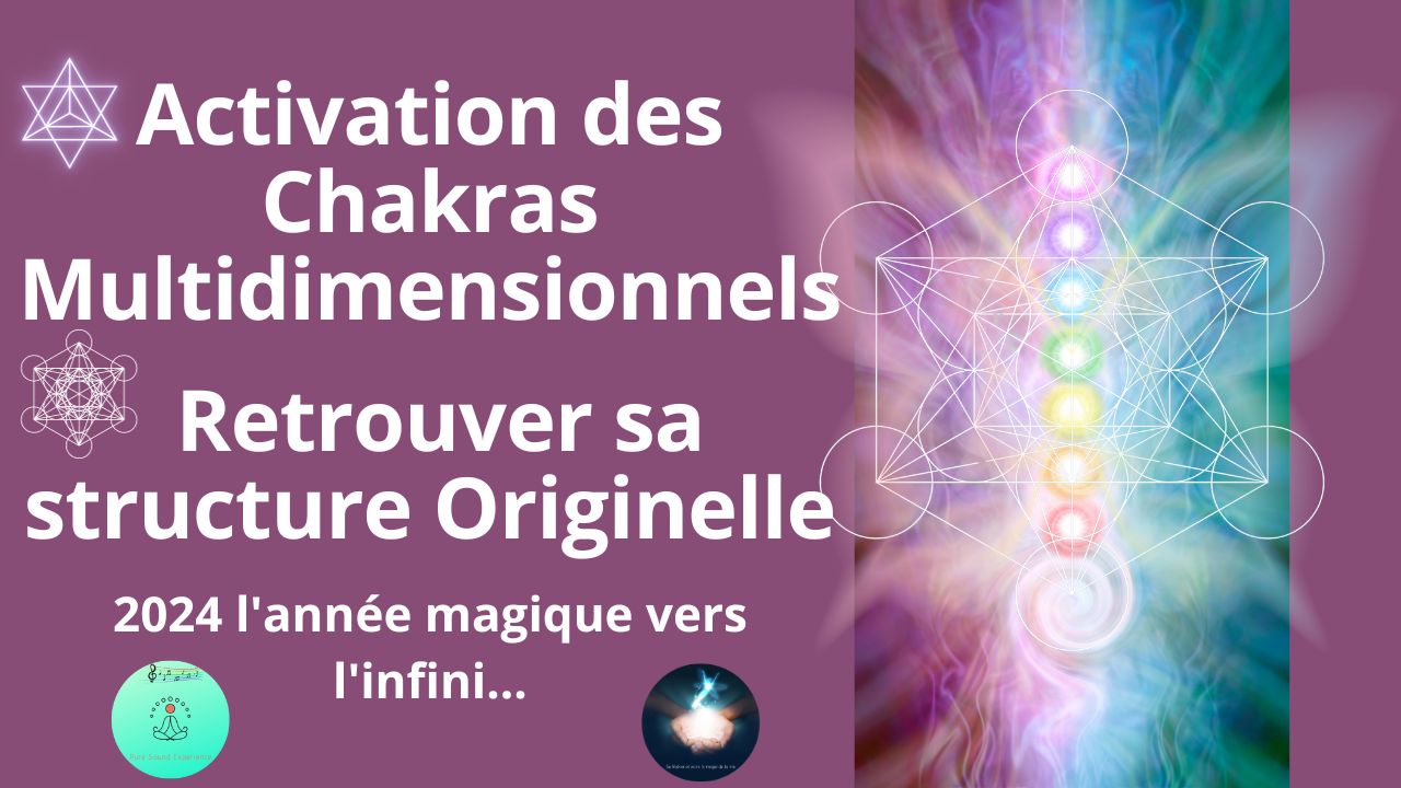 11 1 2024 Activation Chakras Multidimensionnels 2024 L Ann E Magique   Activation Chakras Multidimensionnels 